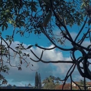 Meet your Posher, Mya